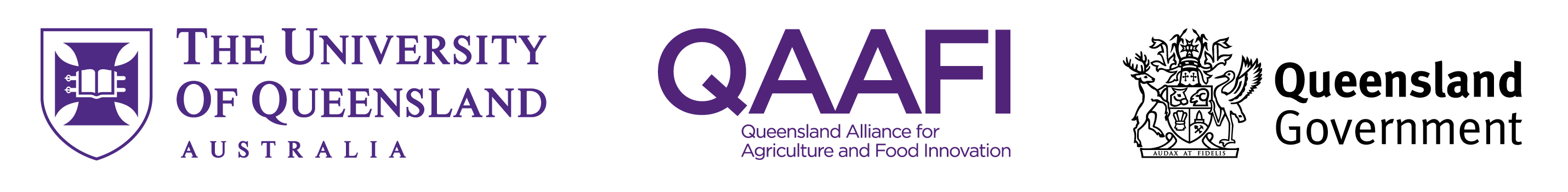 QAAFI, University of Queensland