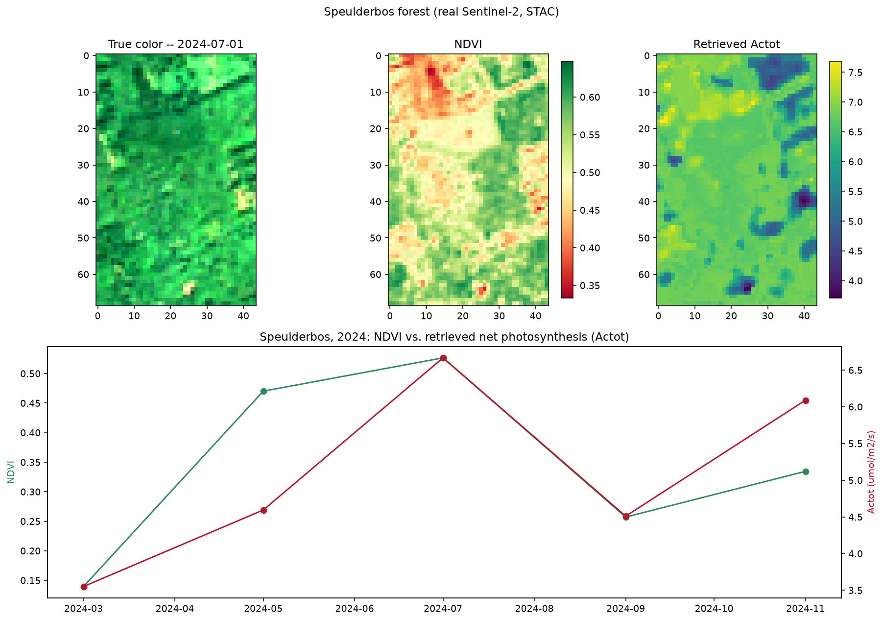 True color, NDVI, retrieved Actot map, and seasonal time series over real Speulderbos Sentinel-2 data
